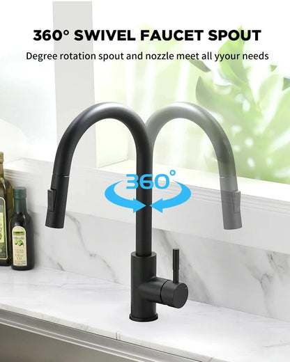 Grifo Mezclador de Cocina y Baño Plateado